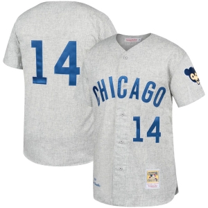 Men's Ernie Banks Gray Away 1969 Throwback Jersey