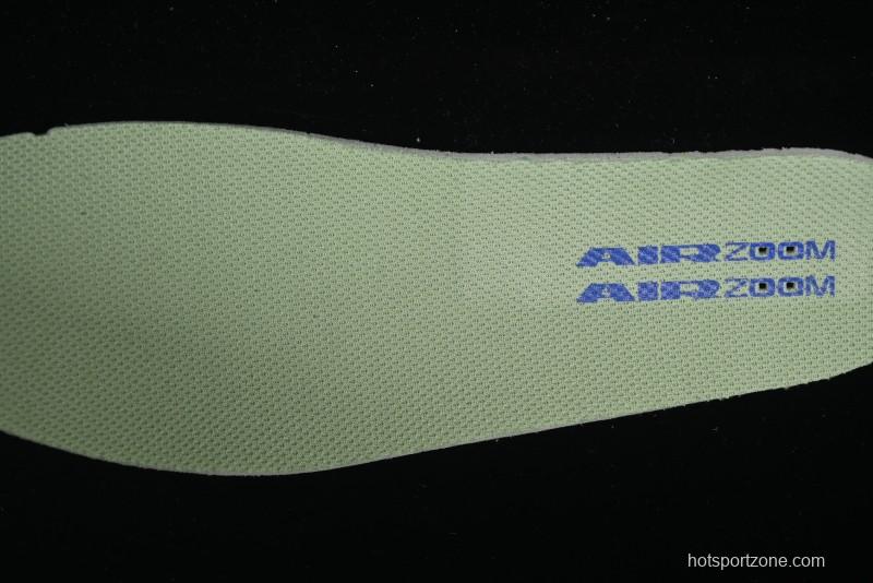 Nike SB Day One Low Top Casual Skate Shoes with Air Zoom Cushion - FN4210-300