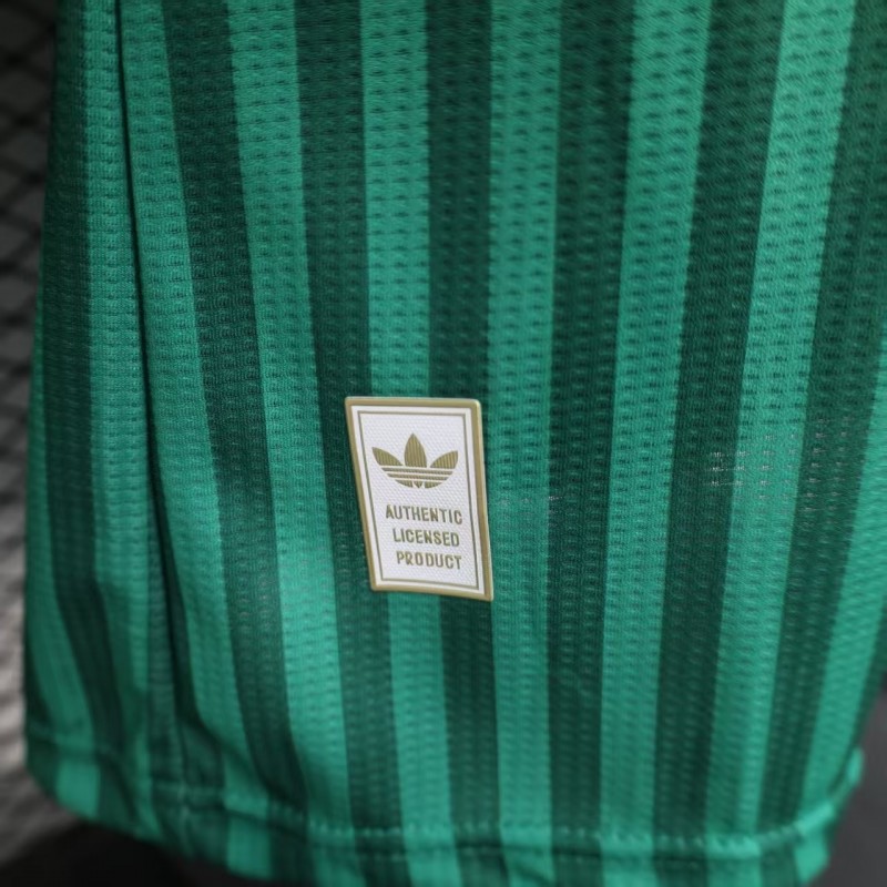 Player Version 2026 Algeria Home Green with Vertical Stripe Pattern Jersey