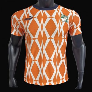 Player Version 2023 Ivory Coast Home Jersey